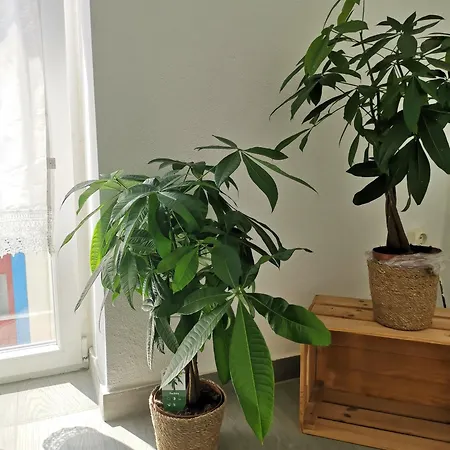 Old Town House Apartamento Lourinhã