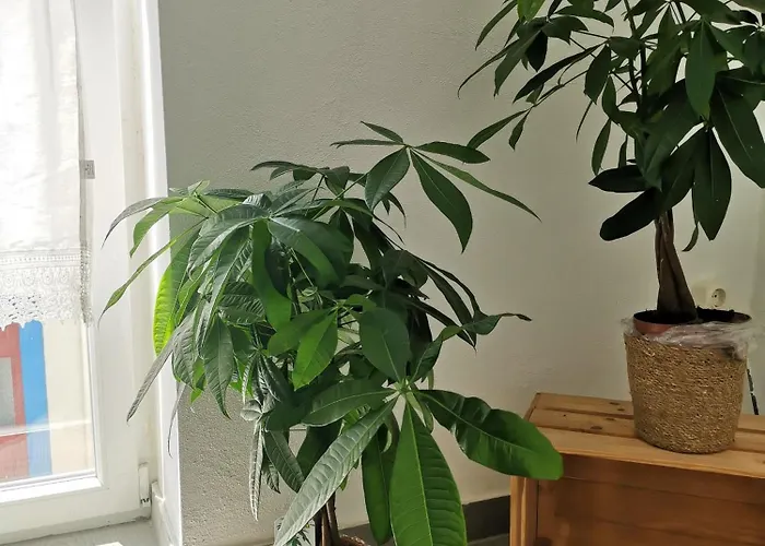 Old Town House Apartmán Lourinhã